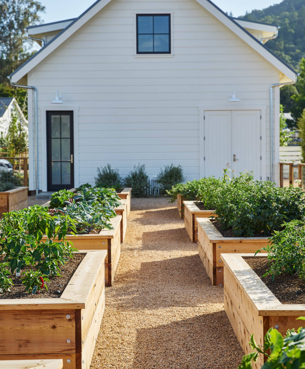 Timber raised vegetable garden beds